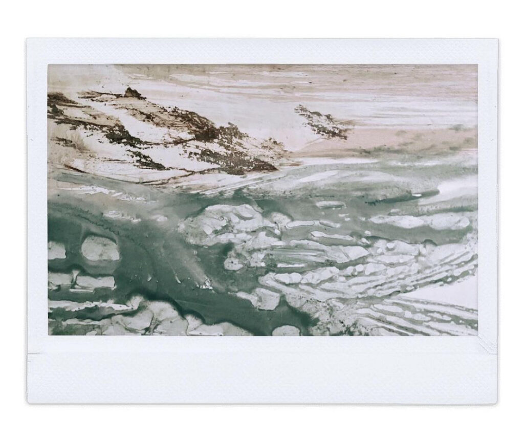 Mona Naess Thinking in Systems IMG 4074 02