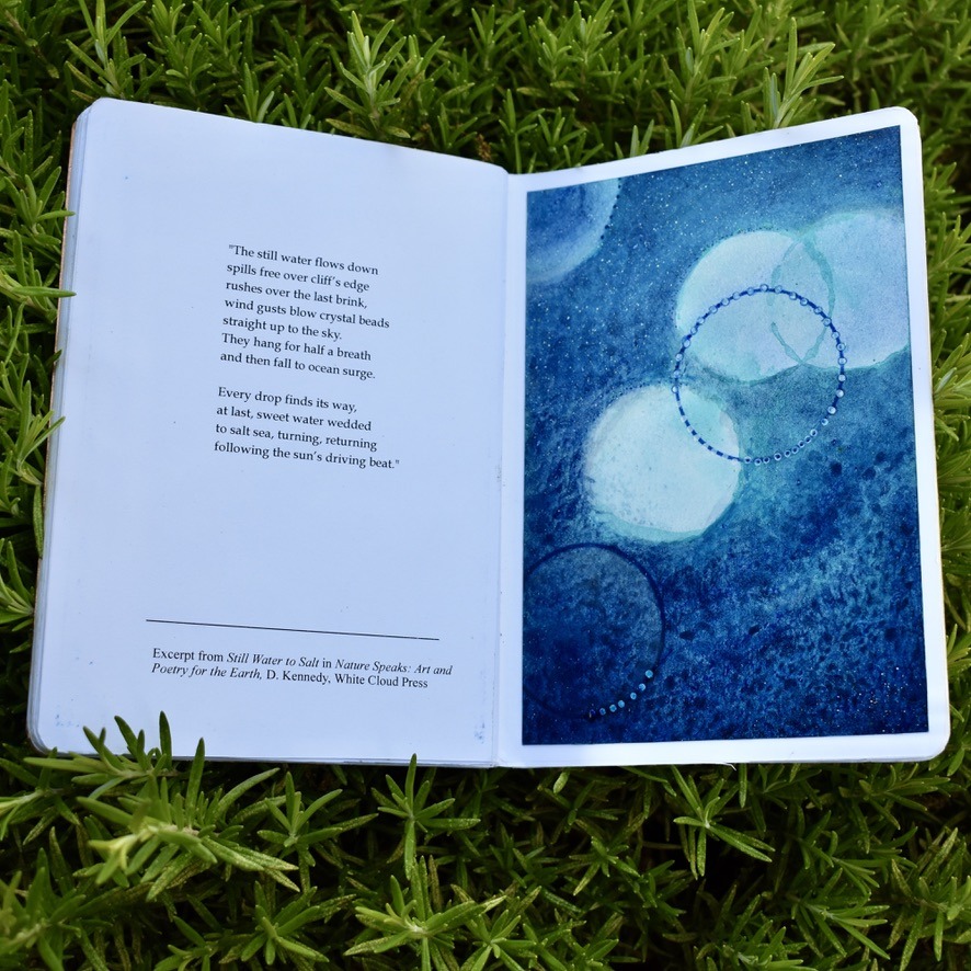 Deborah Kennedy WNFE Review Assessment Action 02