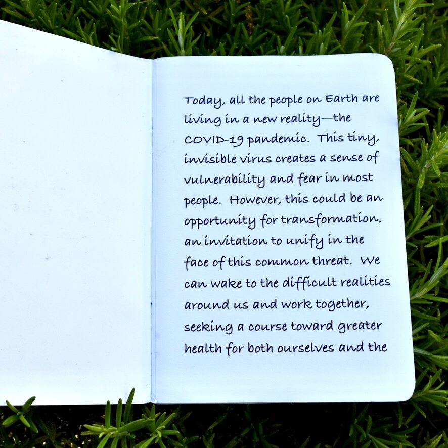 Deborah Kennedy WNFE Review Assessment Action 03