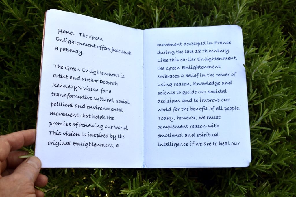 Deborah Kennedy WNFE Review Assessment Action 05