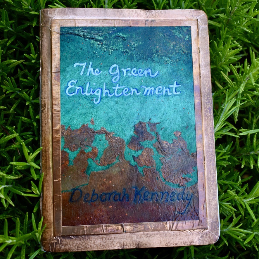 Deborah Kennedy WNFE Review Assessment Action 08