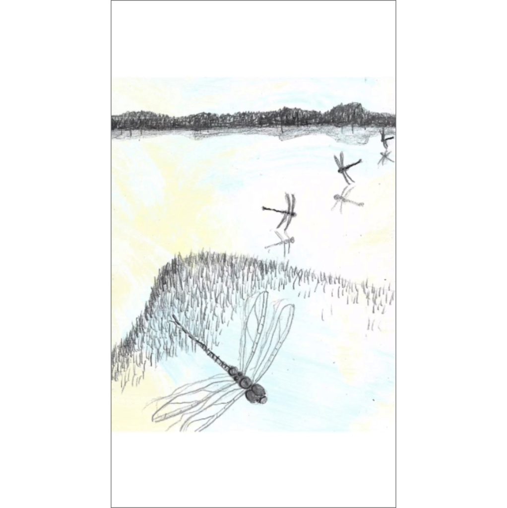 Kim Tanzer WNFE Review Assessment Action 0102 1