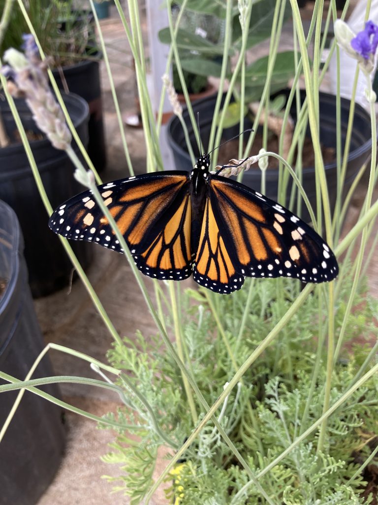 Marianne Bickett WNFE Review Assessment Action 08