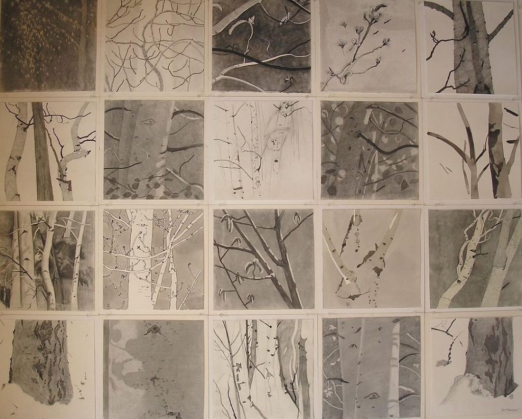 Meredith Nemirov WNFE Review Assessment Action 01