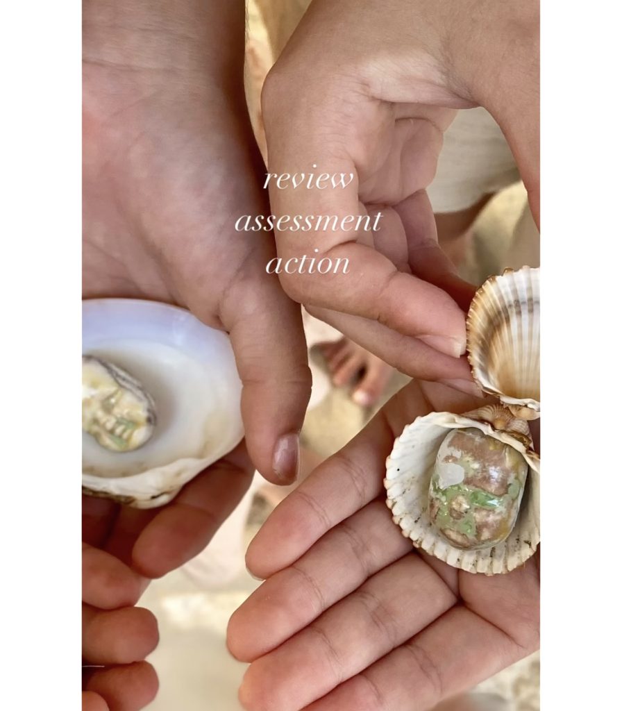 Mona Naess WNFE Review Assessment Action 01 1