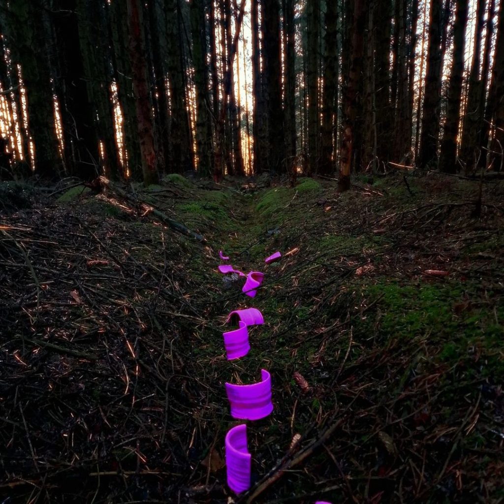 Rosalind Lowry WNFE Review Assessment Action 01