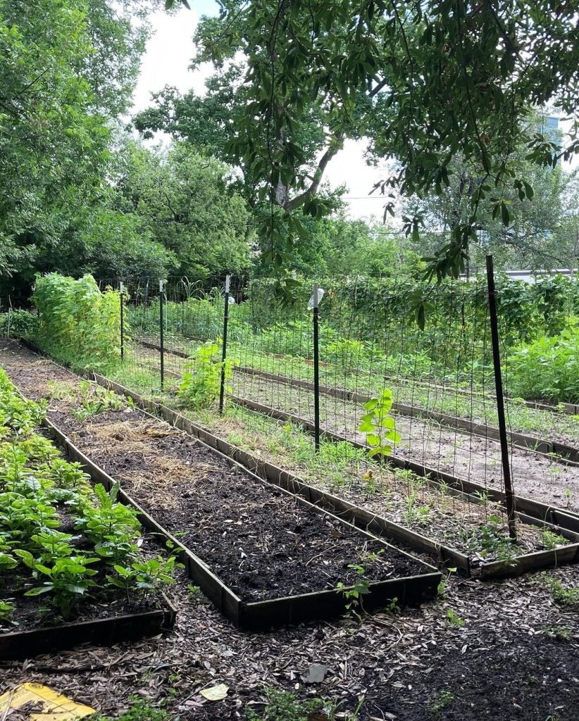 Susan Smith WNFE Review Assessment Action 05